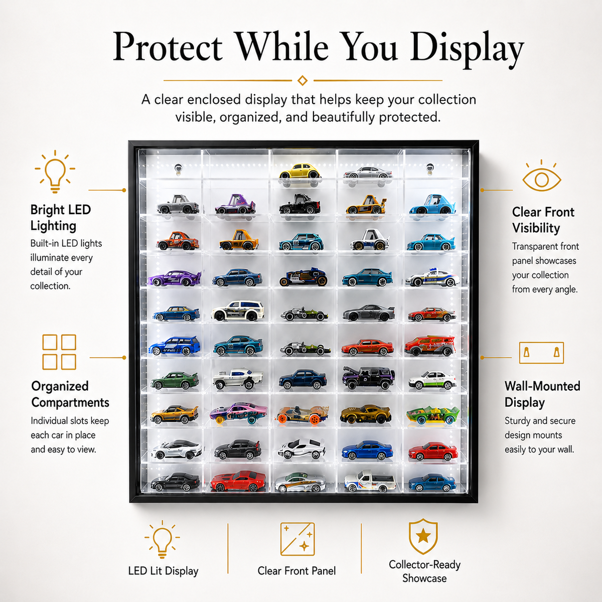 50-Compartment LED Display Case